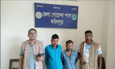 সদরপুরে ডিবি পুলিশের অভিযানে  গাঁজাসহ  গ্রেপ্তার দুই