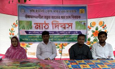 ফরিদপুরে ব্রি ধান-৯৮ বিষয়ক মাঠ দিবস অনুষ্ঠিত