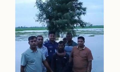 সিংড়ায় গাঁজার গাছসহ মাদক ব্যবসায়ি আটক