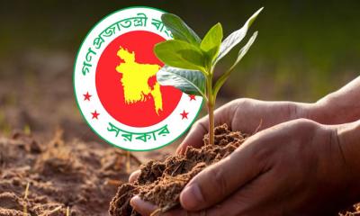 ছয় মাসে ২ কোটির বেশি গাছ রোপণ করেছে সরকার