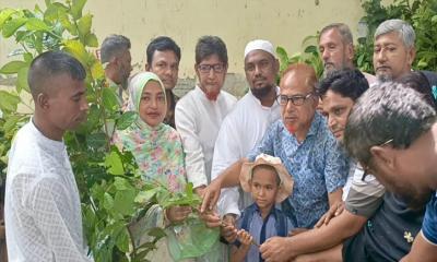 মুকসুদপুরে নার্সারি মালিকের ব্যতিক্রমী উদ্যোগ, শিক্ষার্থীদের মাঝে বিনামূল্যে গাছের চারা বিতরণ