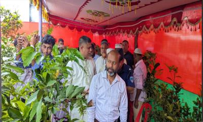 ব্রাহ্মণবাড়িয়ায় ১০ দিনব্যাপী জাতীয় বৃক্ষ মেলার উদ্বোধন