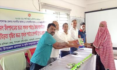 প্রদর্শনী স্থাপনের জন্য কাশিয়ানীতে বিনামূল্যে কৃষি উপকরণ বিতরণ
