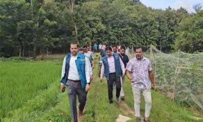 বান্দরবানে অনিয়মের অভিযোগে জনস্বাস্থ্য প্রকৌশল অধিদফতরে দুদকের অভিযান