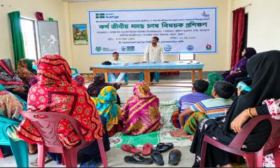 কয়রায় কাপ জাতীয় মাছ চাষ বিষয়ে প্রশিক্ষণ অনুষ্ঠিত