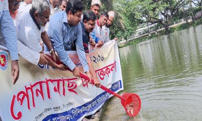 সিংড়ায় জাতীয় মৎস্য পক্ষ পালিত