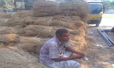 এক আটি খড়ের দাম ৯ টাকা গরু পালনে বিপাকে খামারিরা