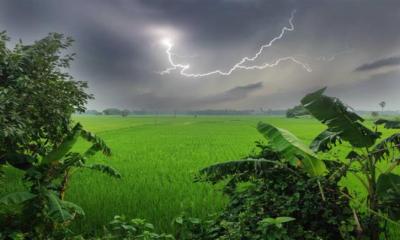 সাতক্ষীরায় বজ্রপাতে নারী শ্রমিকের মৃত্যু