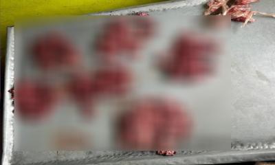 পঁচা  মাংস বিক্রির দায়ে ব্যবসায়ীকে ১০ দিনের কারাদণ্ড ও জরিমানা