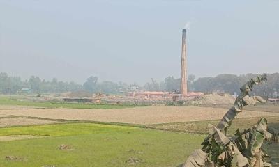 সারাদেশে ইটভাটার মালিকরা মানছে না কোনো আইন