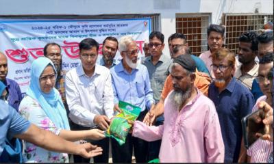 কৃষকদের মাঝে বিনামূল্যে বীজ ও রাসায়নিক সার বিতরণের উদ্বোধন