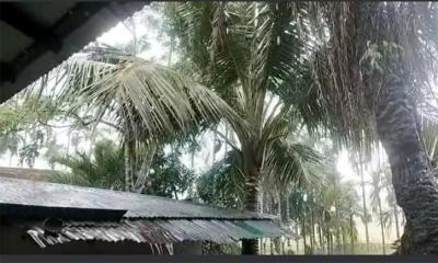 নাইক্ষ্যংছড়িতে তীব্র তাপদাহের পর স্বস্তির বৃষ্টি