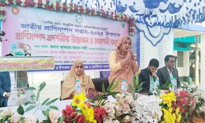 মান্দায় জাতীয় প্রাণিসম্পদ সপ্তাহ-২০২৫ পালিত