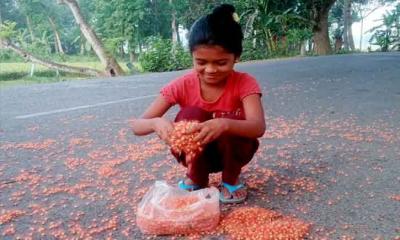 হিজলতলায় ভোরের আলপনা