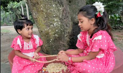 শৈশবের সেই বকুল ফুল কুড়ানো ও মালা গাঁথার গল্প