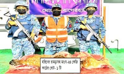 অভিযানে হরিণের চামড়া ও ২৪ কেজি মাংস উদ্ধার