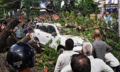 প্রবল ঝড়ে লন্ডভন্ড , নিহত ৮৯
