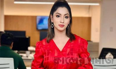 বিশেষ ক্ষমতা আইনে মেঘনা আলমের আটকাদেশ কেন অবৈধ নয়: হাইকোর্ট