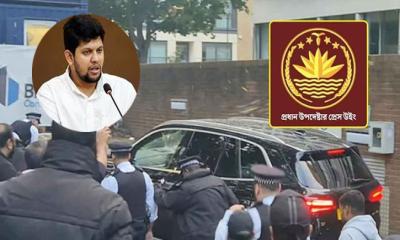 ভালুকের দল খুঁজে পেল নতুন ঠিকানা