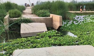 ভাঙ্গুড়ায় বাঁশবাড়িয়া সাবমারসিবল সড়কের বেহাল দশা, জনদুর্ভোগ চরমে