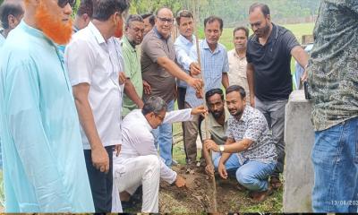 ভাঙ্গুড়ায় বৃক্ষরোপণ কার্যক্রমের উদ্বোধন