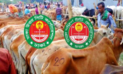 কোরবানির পশুর হাট নিয়ে যে সিদ্ধান্ত নিলো দুই সিটি