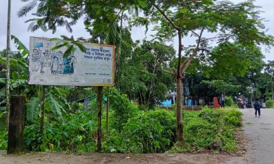 ঈদগাঁও-কক্সবাজার ডিসি সড়কে গাছ কাটাকে কেন্দ্র করে উত্তেজনা