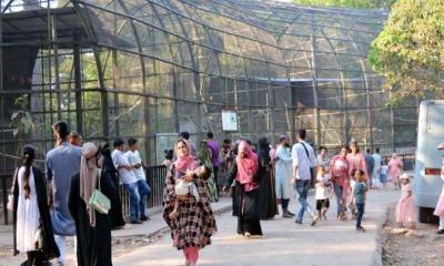 ঈদকে ঘিরে দর্শনার্থীদের ভীড় জমেছে ডুলাহাজারা সাফারি পার্কে