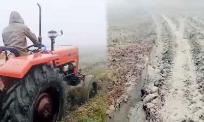 ফরিদগঞ্জে কৃষি জমি ধ্বংসের মহোৎসব