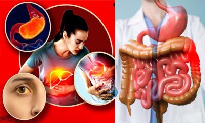 ঘন ঘন অম্বল, বদহজম, জন্ডিস মানেই লিভারের রোগ নয়