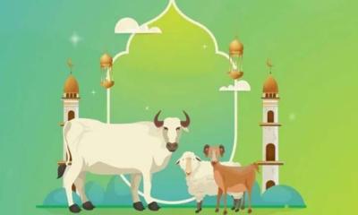 কার ওপর কোরবানি ওয়াজিব?