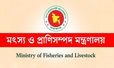 ইলিশ চাষের বিষয়ে যে সিদ্ধান্ত নিলো সরকার