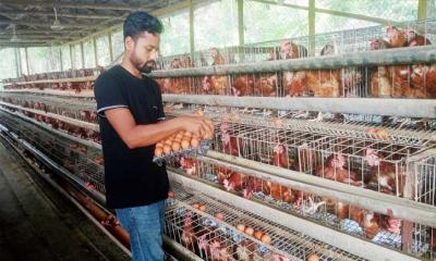 প্রতিদিন বিক্রি হচ্ছে ৮০ হাজার টাকার ডিম!