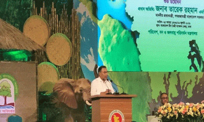 কোরআনের নির্দেশনা অনুযায়ী সৃষ্টির  যত্ন নেওয়ার আহ্বান প্রধানমন্ত্রীর