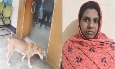 ৮ কুকুরছানাকে চুবিয়ে হত্যায় হতে পারে যে শাস্তি