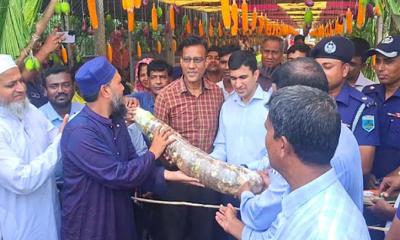মানকচু দিয়ে প্রধান অতিথিকে বরণ