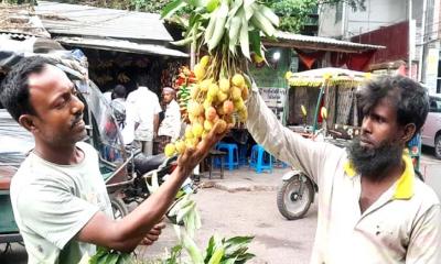 রাজশাহীর বাজারে মিষ্টি লিচুর তেতো দাম