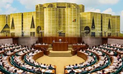 ছায়া মন্ত্রিসভার কার্যকারিতা কী?