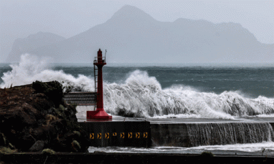 তাইওয়ানের দিকে ধেয়ে আসছে টাইফুন বাভি