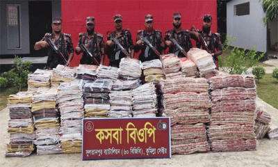 ১ কোটি ৪১ লক্ষাধিক টাকার ভারতীয়  মালামাল জব্দ করেছে বিজিবি