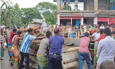 বাস-পিকআপ সংঘর্ষে ৩ বেপারি ও ৬ গরুর মৃত্যু