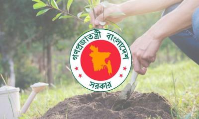 ২৫ কোটি গাছ রোপণের কার্বন ক্রেডিট বিক্রি করে বিলিয়ন ডলার আয় করতে পারে বাংলাদেশ