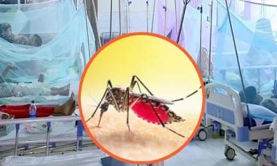 ডেঙ্গুতে আরও ৪ জনের মৃত্যু, নতুন রোগী ভর্তি ২৪৭