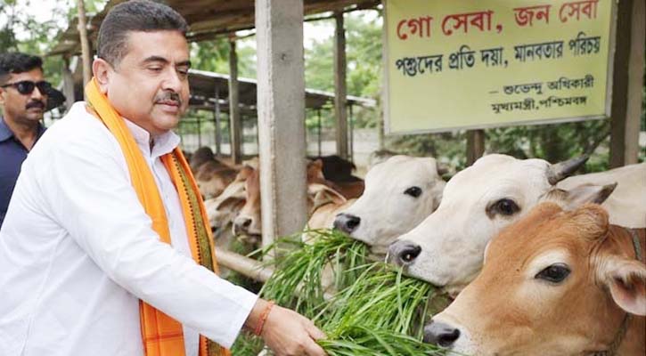পশ্চিমবঙ্গে প্রকাশ্যে গরুসহ সব ধরনের পশু জবাই নিষিদ্ধ
