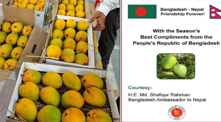 ১,৭৫০ কেজি সুস্বাদু আম পেলো নেপাল