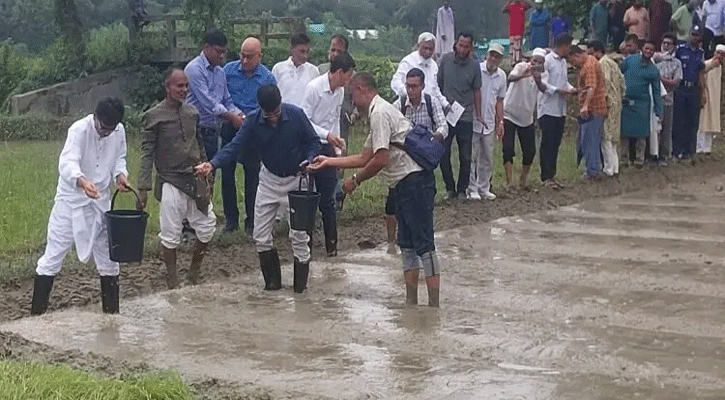 বন্যায় ক্ষতিগ্রস্ত ৫ জেলার কৃষকদের  ধানের বীজ-চারা দেওয়া হবে:কৃষিমন্ত্রী