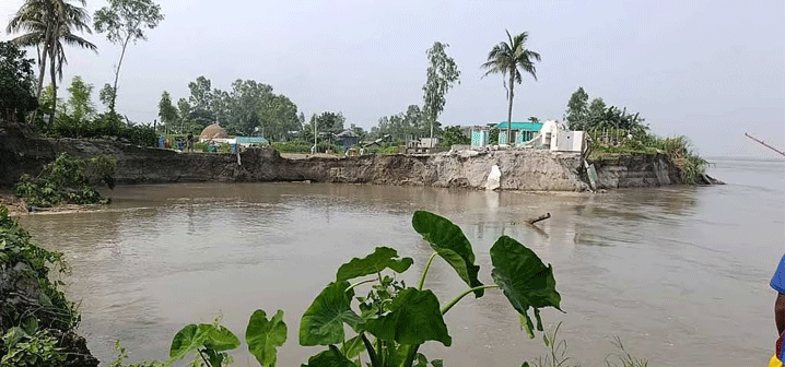 যমুনার ভয়াবহ ভাঙনে বিপর্যস্ত  সিরাজগঞ্জ, শতাধিক ঘরবাড়ি বিলীন