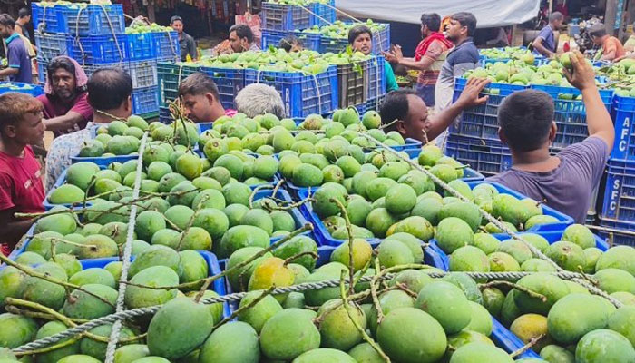 শত কোটি টাকার আম হারাচ্ছেন চাষিরা