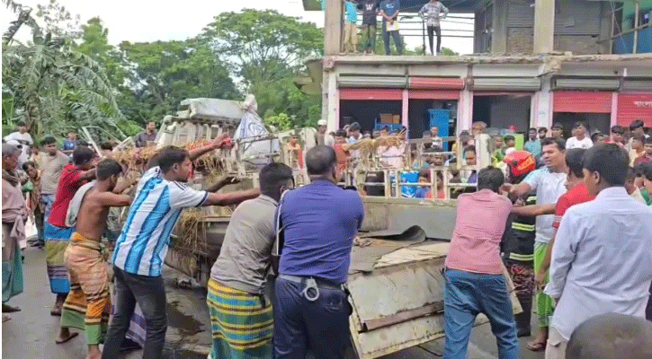 বাস-পিকআপ সংঘর্ষে ৩ বেপারি ও ৬ গরুর মৃত্যু