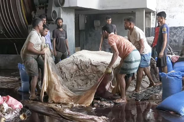 সাভার চামড়া শিল্পনগরীতে ঢুকেছে সোয়া ৫ লাখ